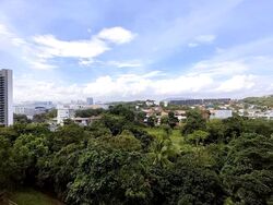 Blk 301 Clementi Haven (Clementi), HDB 4 Rooms #528662171
